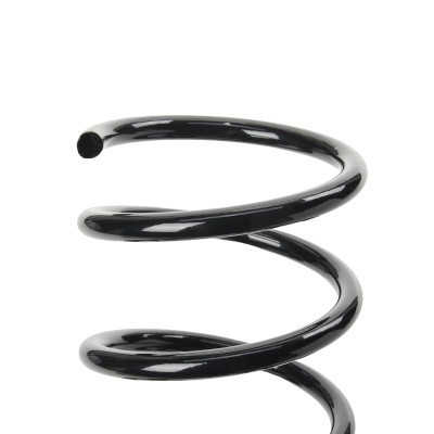 Suspension Spring RIDEX 188C0797 188C0797 - photo 4