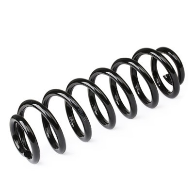 Suspension Spring RIDEX 188C0732 188C0732 - photo 4
