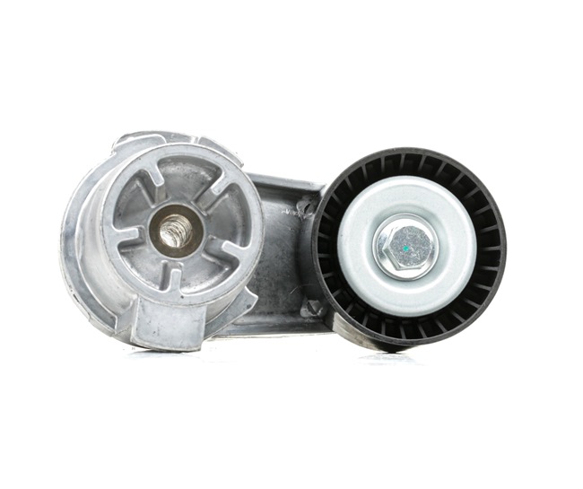 Belt Tensioner V-Ribbed Belt RIDEX 310T0377 310T0377 - photo 1