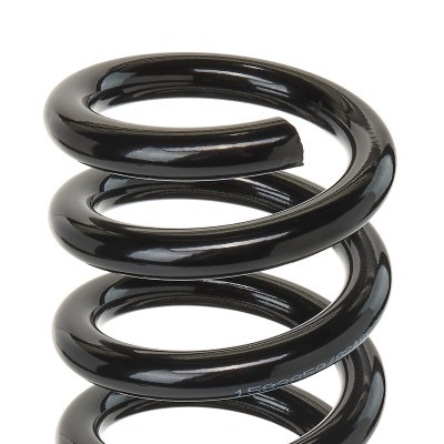 Suspension Spring RIDEX 188C0259 188C0259 - photo 3