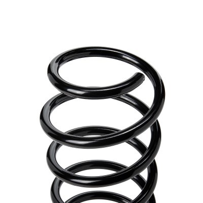 Suspension Spring RIDEX 188C0403 188C0403 - photo 3