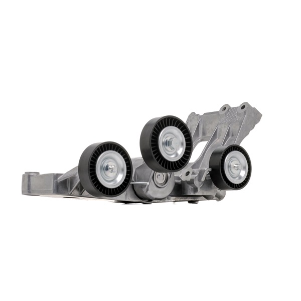 Belt Tensioner V-Ribbed Belt RIDEX 310T0329 310T0329 - photo 1
