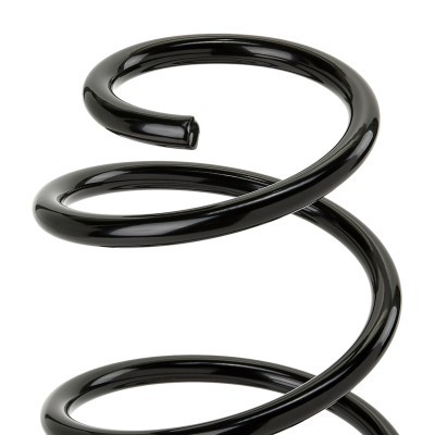 Suspension Spring RIDEX 188C2157 188C2157 - photo 3