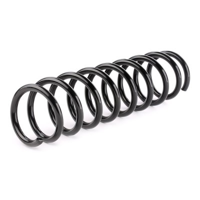 Suspension Spring RIDEX 188C0315 188C0315 - photo 2