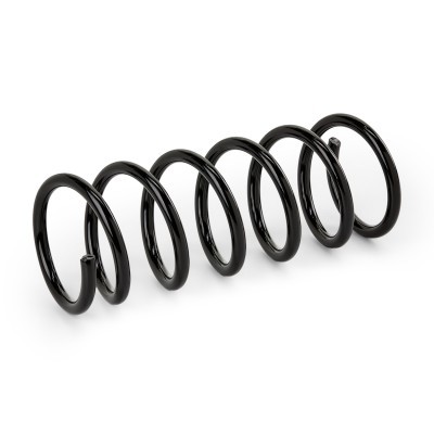 Suspension Spring RIDEX 188C2395 188C2395 - photo 2