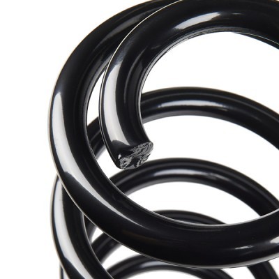 Suspension Spring RIDEX 188C0856 188C0856 - photo 4