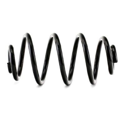 Suspension Spring RIDEX 188C0168 188C0168 - photo 4