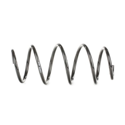 Suspension Spring RIDEX 188C0174 188C0174 - photo 3
