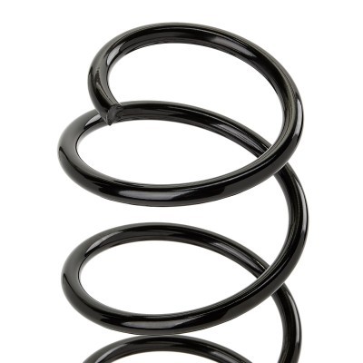 Suspension Spring RIDEX 188C0924 188C0924 - photo 3