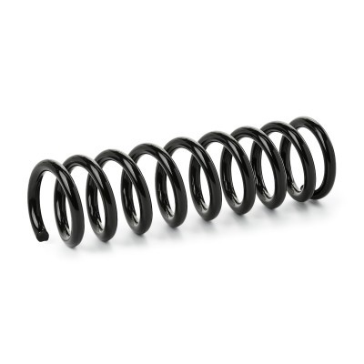 Suspension Spring RIDEX 188C1919 188C1919 - photo 2