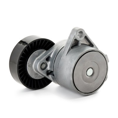 Belt Tensioner V-Ribbed Belt RIDEX 310T0307 310T0307 - photo 4
