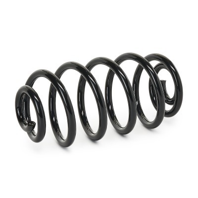 Suspension Spring RIDEX 188C0327 188C0327 - photo 3