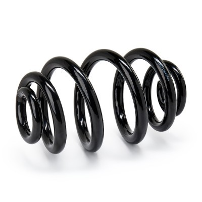 Suspension Spring RIDEX 188C0523 188C0523 - photo 2