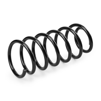 Suspension Spring RIDEX 188C0862 188C0862 - photo 3