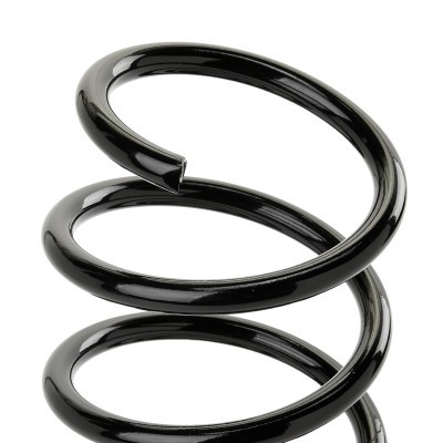 Suspension Spring RIDEX 188C0886 188C0886 - photo 3