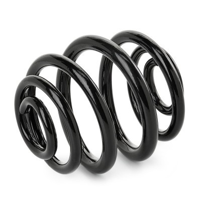 Suspension Spring RIDEX 188C0614 188C0614 - photo 2