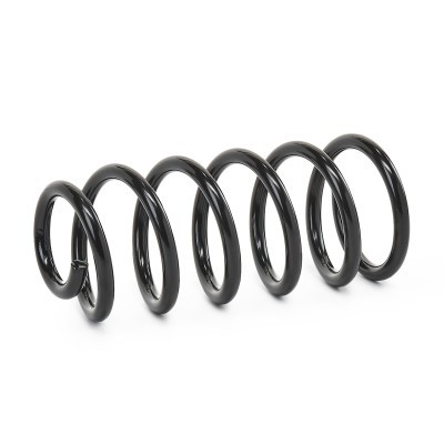 Suspension Spring RIDEX 188C1129 188C1129 - photo 2