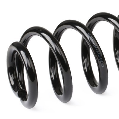 Suspension Spring RIDEX 188C0732 188C0732 - photo 5