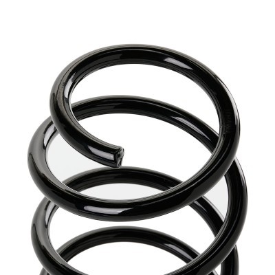 Suspension Spring RIDEX 188C1021 188C1021 - photo 4