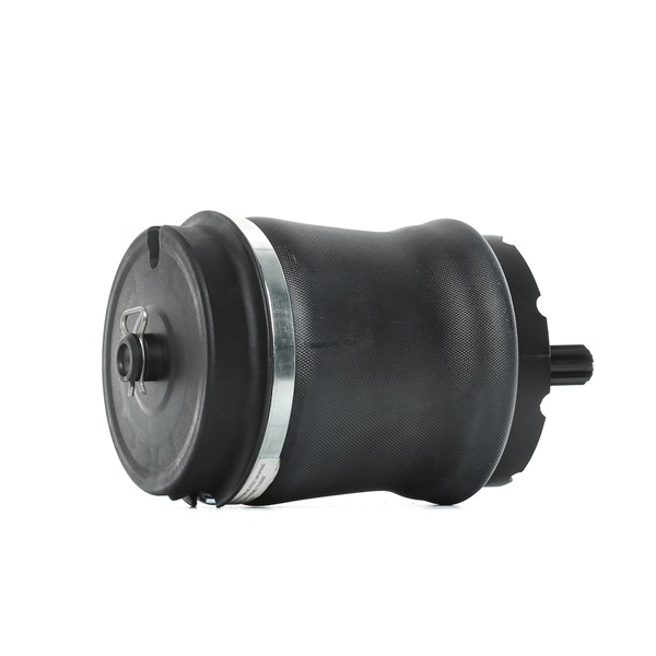 Bellow, Air Suspension RIDEX 4119A0024 4119A0024 - photo 1
