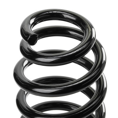 Suspension Spring RIDEX 188C1189 188C1189 - photo 4