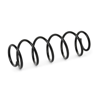 Suspension Spring RIDEX 188C1807 188C1807 - photo 2