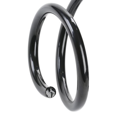 Suspension Spring RIDEX 188C0484 188C0484 - photo 4