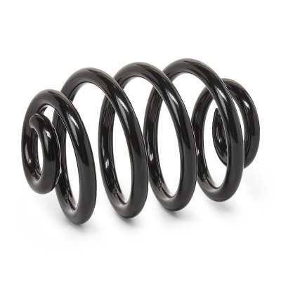 Suspension Spring RIDEX 188C0024 188C0024 - photo 4