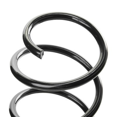 Suspension Spring RIDEX 188C1734 188C1734 - photo 3