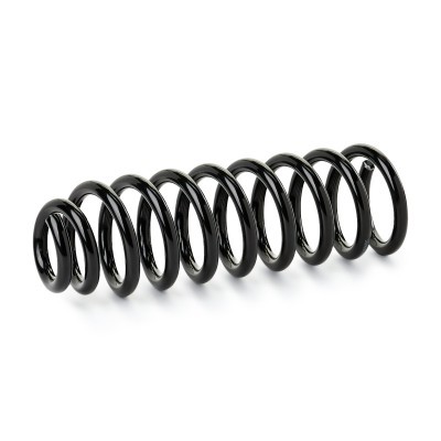 Suspension Spring RIDEX 188C1244 188C1244 - photo 2