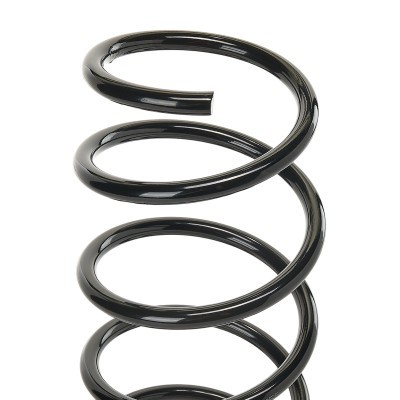 Suspension Spring RIDEX 188C0051 188C0051 - photo 5