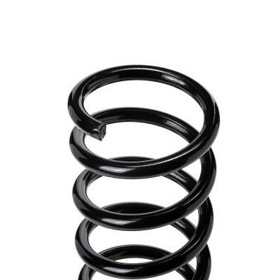 Suspension Spring RIDEX 188C1039 188C1039 - photo 3