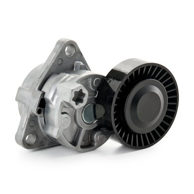 Belt Tensioner V-Ribbed Belt RIDEX 310T0307 310T0307 - photo 3