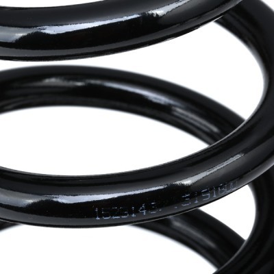 Suspension Spring RIDEX 188C0793 188C0793 - photo 4
