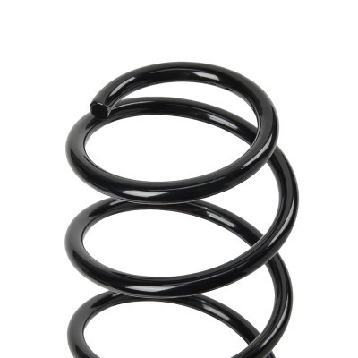 Suspension Spring RIDEX 188C1402 188C1402 - photo 4