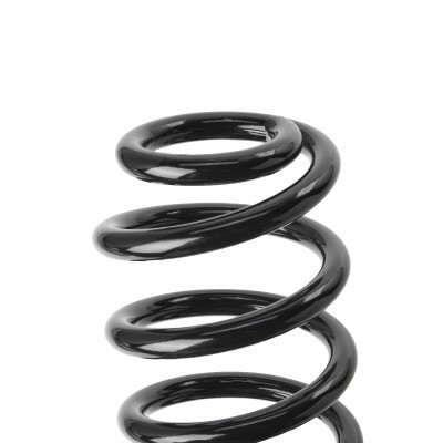 Suspension Spring RIDEX 188C0913 188C0913 - photo 3
