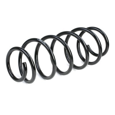 Suspension Spring RIDEX 188C0283 188C0283 - photo 4