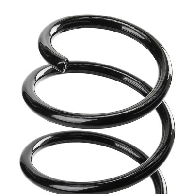 Suspension Spring RIDEX 188C1141 188C1141 - photo 4