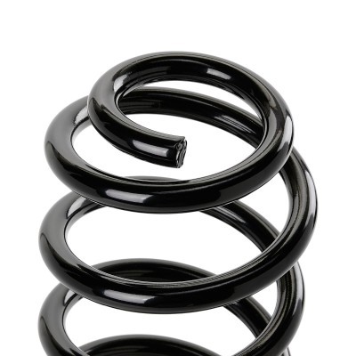 Suspension Spring RIDEX 188C0601 188C0601 - photo 4