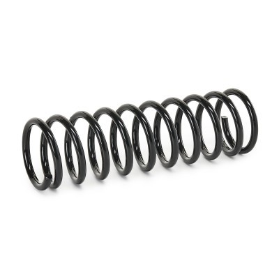 Suspension Spring RIDEX 188C0119 188C0119 - photo 3