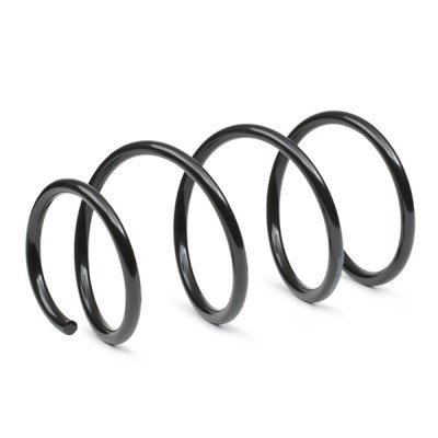 Suspension Spring RIDEX 188C0824 188C0824 - photo 3
