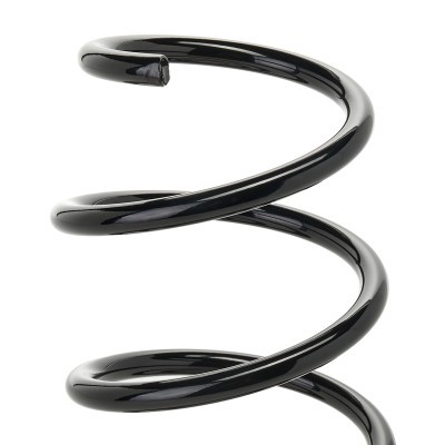 Suspension Spring RIDEX 188C1568 188C1568 - photo 3