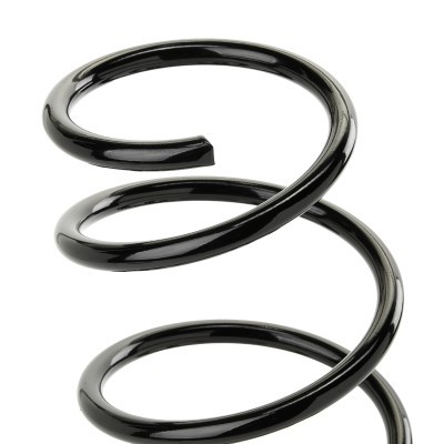 Suspension Spring RIDEX 188C1299 188C1299 - photo 3