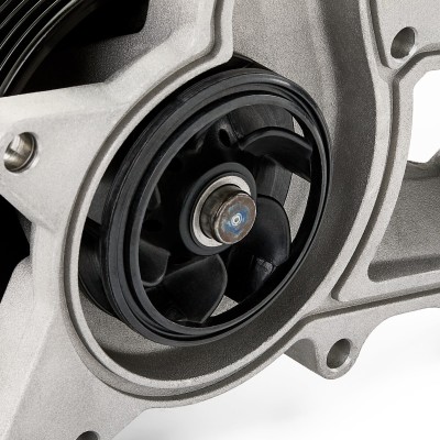 Water Pump, Engine Cooling RIDEX 1260W0291P 1260W0291P - photo 5