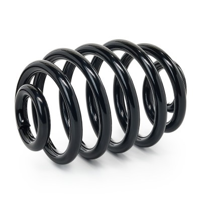 Suspension Spring RIDEX 188C3848 188C3848 - photo 2