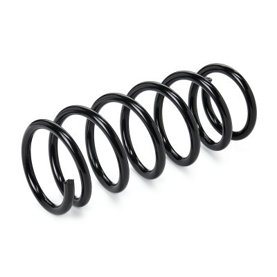 Suspension Spring RIDEX 188C0132 188C0132 - photo 2