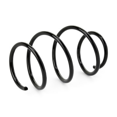 Suspension Spring RIDEX 188C0831 188C0831 - photo 2