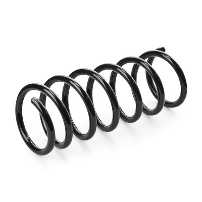 Suspension Spring RIDEX 188C0693 188C0693 - photo 3