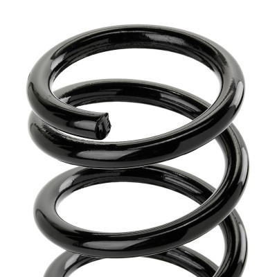 Suspension Spring RIDEX 188C0652 188C0652 - photo 3