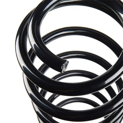Suspension Spring RIDEX 188C0647 188C0647 - photo 4